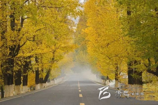 康定新都橋，有一條黃金大道通往夢中的天堂