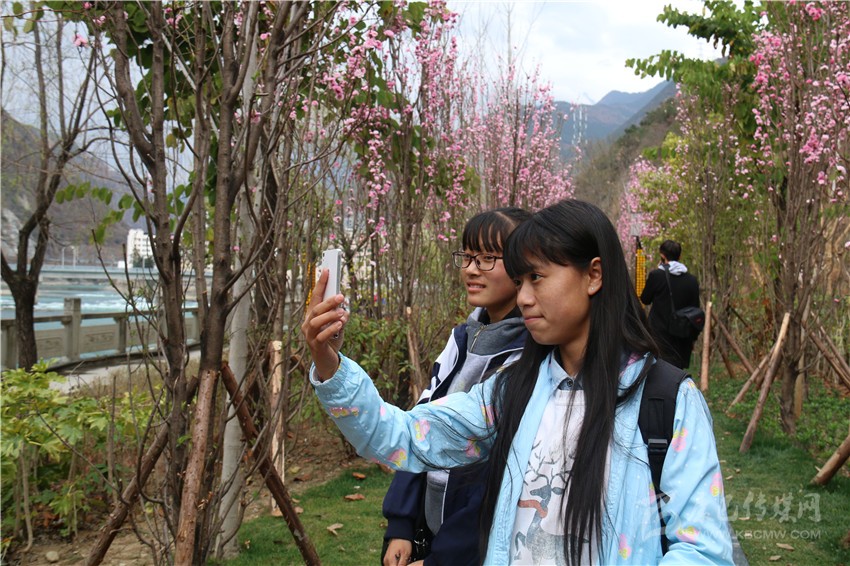 春光俏！“醉”是瀘定春三月，踏青賞花正當(dāng)時