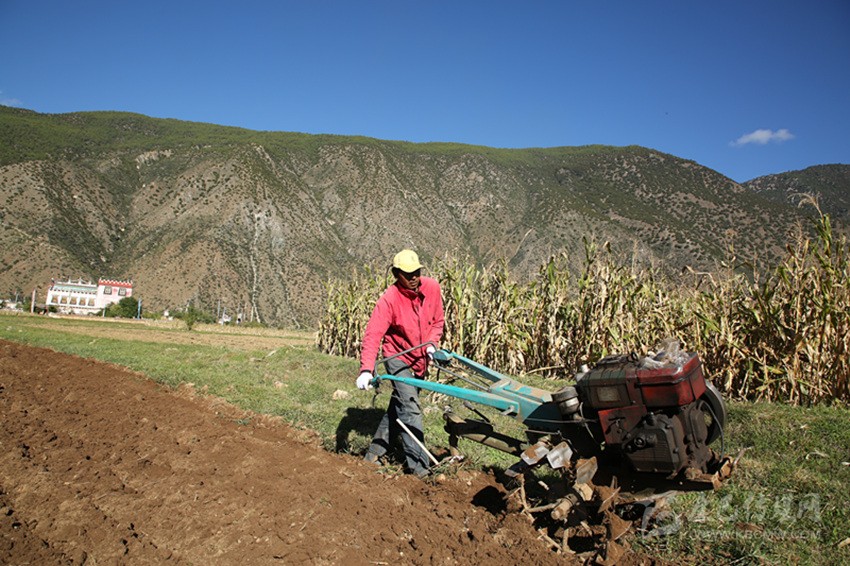 田園藏鄉(xiāng)美如畫，百姓脫貧喜在心