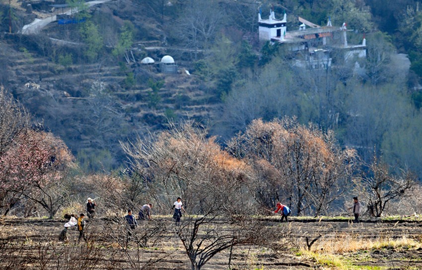 鉚足“?！眲鸥髅? onload=