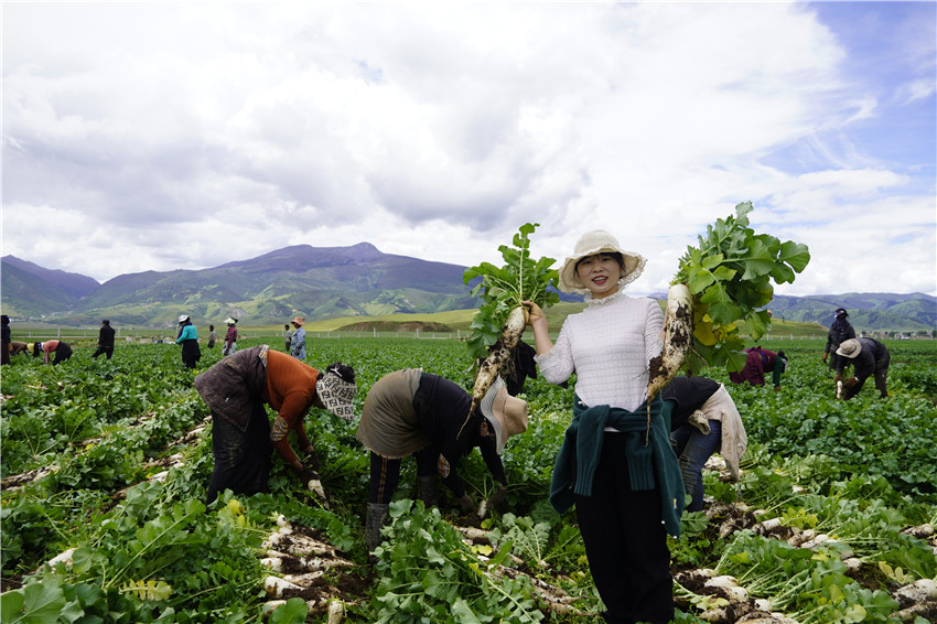 川香秋月.jpg 川香秋月.jpg