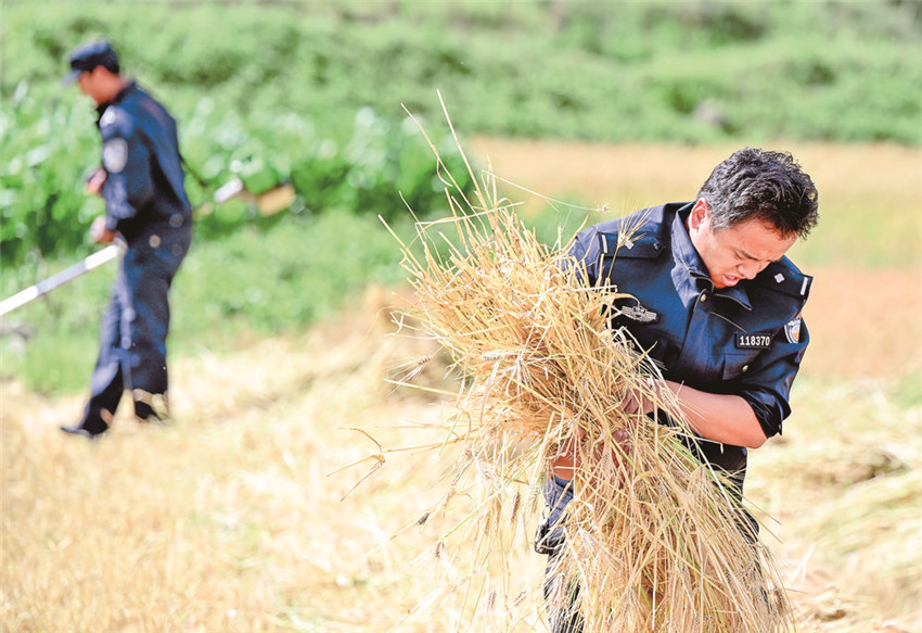 青德派出所.jpg 青德派出所.jpg