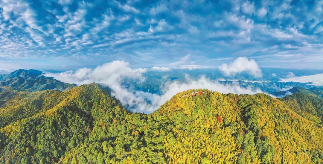 　三明森林生態(tài)環(huán)境優(yōu)美。